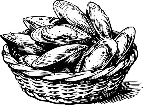 Basket of fresh mussels shellfish seafood meal illustration in vintage engraving