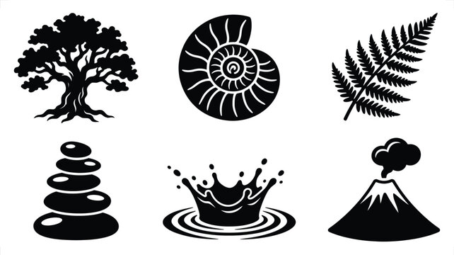 Six organic elements in black silhouette form against a white background including a tree stones ammonite fern water splash and volcano for concept