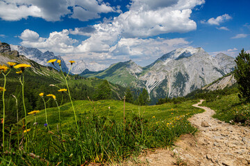 Obraz premium Fernblick auf das Kawendelgebirge mit steinigem Bergpfad und grüne Wiesen, Kawendel, Tirol,Österreich.