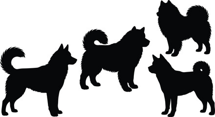 Collection of Spitz Type Dog Silhouettes Illustration Featuring Different Poses and Breeds Isolated on White Background © MstAnjuAra