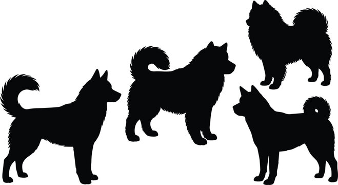 Collection of Spitz Type Dog Silhouettes Illustration Featuring Different Poses and Breeds Isolated on White Background