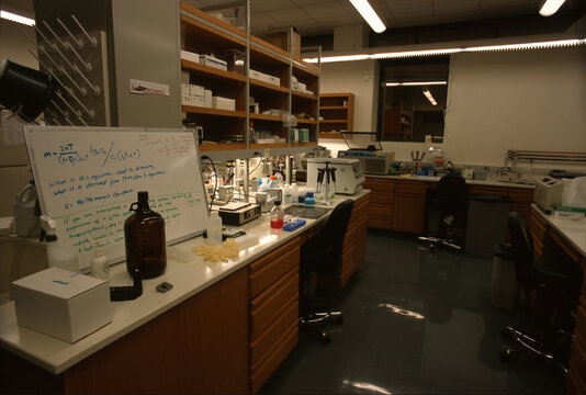 Modern biology laboratory.