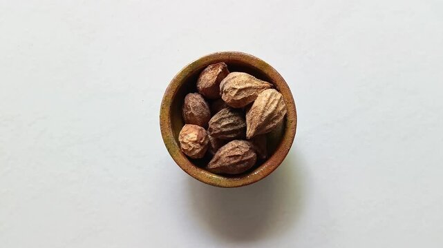 Dry seeds of hicaco fruit of Chrysobalanus icaco inside a small rustic clay bowl for typical traditional dish from Guatemala