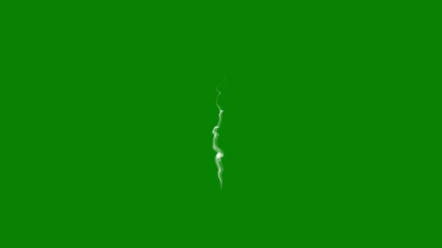 Abstract white smoke rising and twisting smoothly on green background elegant fluid motion loop