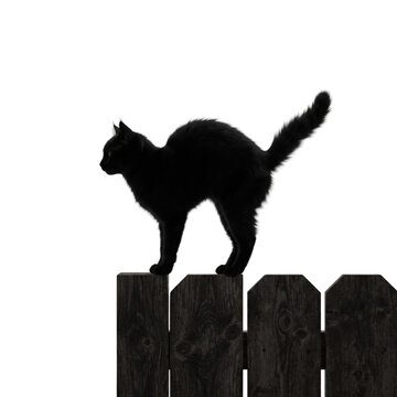 Spooky black cat with arched back on wooden fence