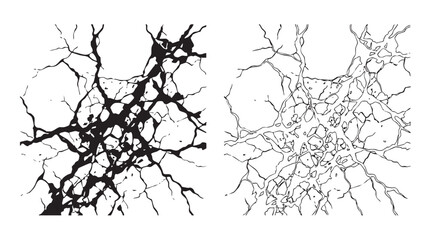 Obraz premium black vector silhouette with line art pair icon of cracked concrete texture