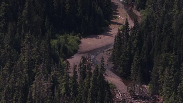 Aerial of Clear Fork Cowlitz River in Gifford Pinchot National Forest Washington with wide gravel riverbed in summer