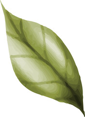 Exotic Jungle Leaf © dheodonnya