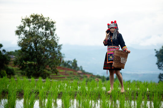 Woman wearing traditional embroidered clothing and headdress using a phone while holding a woven basket in a green rice field, combining culture, agriculture