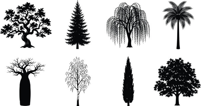 Black and white tree silhouette vector set featuring oak pine willow palm and baobab varieties