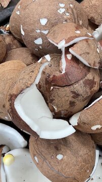 Close-up of broken coconut shells and white meat for oil production