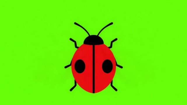 Vector Ladybug Opening and Fluttering Wings Animation on Green Screen

