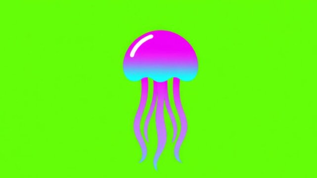 Pulsing Vector Jellyfish Animation on Green Screen Chroma Key
