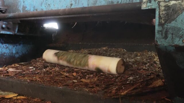 Peeled log core ejected from veneer peeling machine
