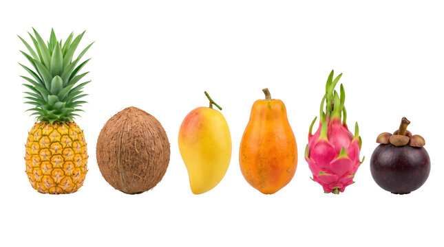 Assorted fresh tropical fruits lined up on transparent background