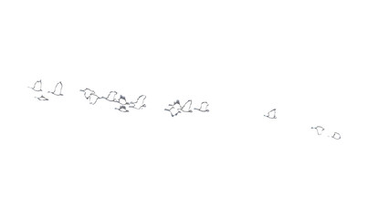 Blurry silhouettes of a flock of wild geese flying in a v-formation creating a sense of movement and freedom on a transparent background. © Luis G. Vergara