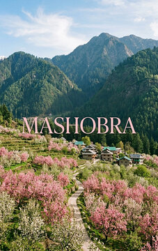 Pink Apple Blossoms and Himalayan Terraces in Mashobra near Shimla, India
