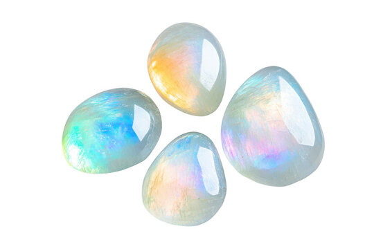 A collection of four polished moonstone gems exhibiting iridescent adularescence against a black background