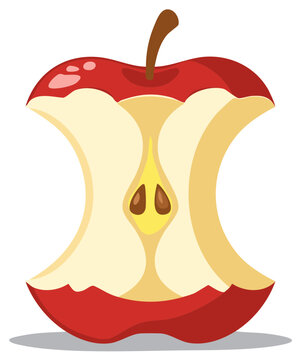 Bright red bitten apple core vector illustration with visible seeds, healthy food remnants