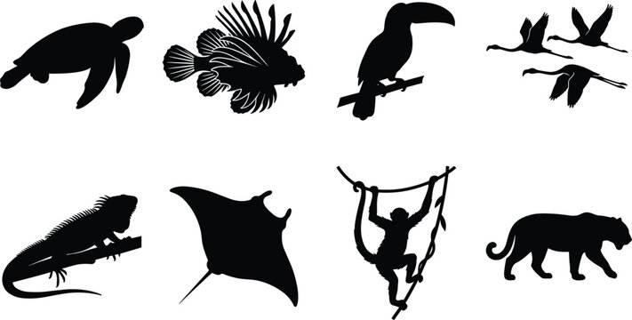 Tropical wildlife silhouette vector set featuring exotic jungle animals marine life birds sea turtle toucan monkey and jaguar icons