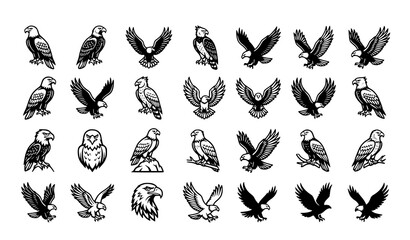 30 Black and White Parrot Outline Vector Collection Isolated on White Background © Md