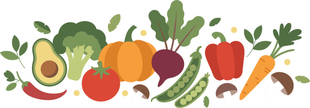 Vegetable harvest composition vector banner for organic horizontal header frame healthy farming background and product label