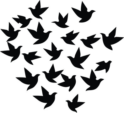 A flock of flying birds silhouette isolated on a white background for design elements