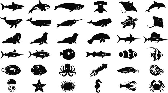 Marine Animal Silhouette Icons Collection for Ocean Sea Life and Aquarium Design