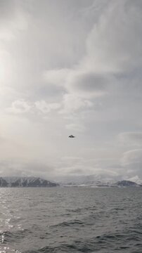 Northern fulmar gliding over Arctic sea in Svalbard, Norway with snow covered mountains
