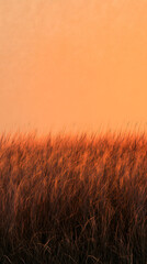 Fototapeta premium Dark Grass Field Beneath a Warm Orange Sky with Copy Space
