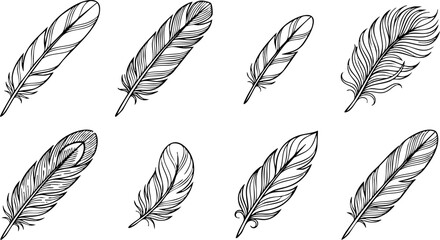 Set of various hand drawn bird feathers in black ink style with nature inspired, bird feather © MD JAHID