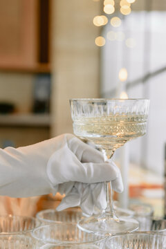 Waiter serving sparkling wine in crystal coupe glass