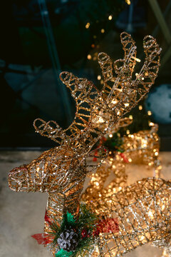 Decorative reindeer with festive lights for Christmas holiday decor