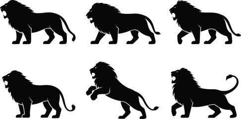 Obraz premium Set of black lion silhouettes in different dynamic poses showing power and strength with silhouette predator strength wildlife collection movement standing majestic aggressive isolated
