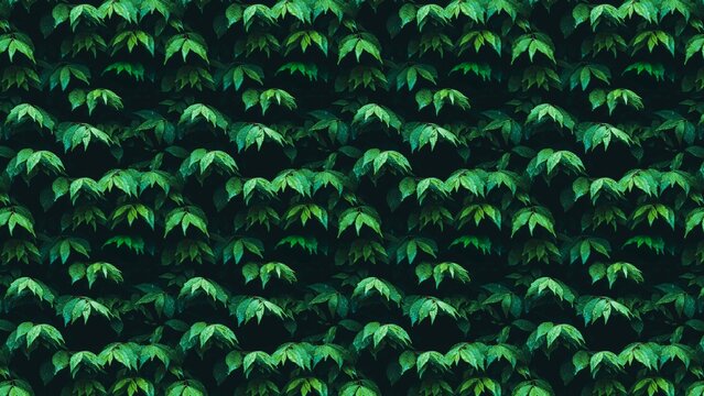 Seamless green leaves pattern with water droplets on dark background