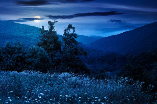 rural mountain landscape of ukraine at night. countryside scenery of transcarpathia in summer. forested hills and grassy meadows under dark sky in full moon light