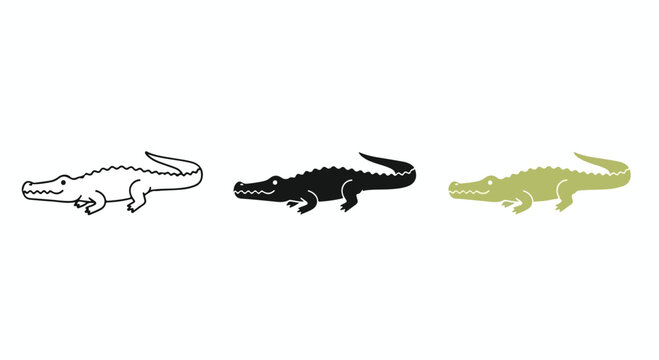 Crocodile Icons: A set of three stylized illustrations of a crocodile in outline, solid black, and solid green, representing this powerful reptile in a graphic and adaptable format.