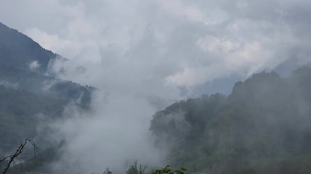 Misty clouds moving and dissolving over a lush green mountain valley, revealing a dense temperate forest and dramatic slopes under an overcast sky on a moody and atmospheric morning