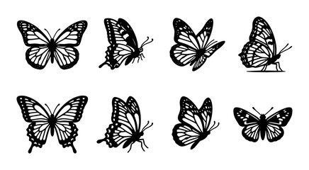 Monarch Butterfly Vector Icons Set, Black and White Insect Illustrations, Nature Elements for Design © Khorshed