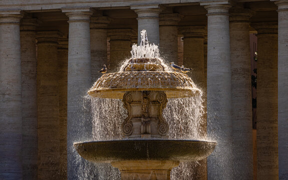 Fountain in Saint Peter's Square with gulls bathing