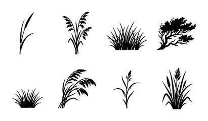 Black Silhouette Grasses and Reeds Vector Elements, Natural Meadow Plants Collection, Organic Botanical Icons © Santo