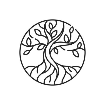 Life tree linear icon. Metaphor for Torah. Earth and heaven connection. Hebrew creation myth. Thin line customizable illustration. Contour symbol. Vector isolated outline drawing. Editable stroke