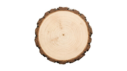 Fototapeta premium Cross section of a tree trunk showing growth rings and bark texture PNG Isolated on transparent background