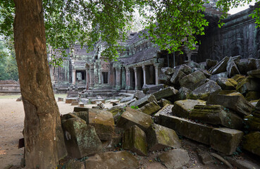 Obraz premium Ta Prohm was Jayavarman VII's first major temple, and an ancestral temple dedicated to his mother