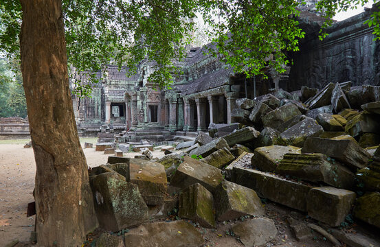 Ta Prohm was Jayavarman VII's first major temple, and an ancestral temple dedicated to his mother