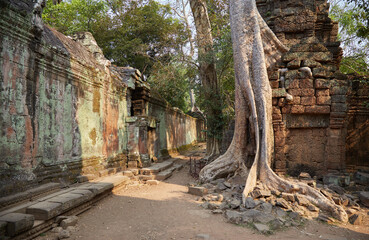 Naklejka premium Ta Prohm was Jayavarman VII's first major temple, and an ancestral temple dedicated to his mother