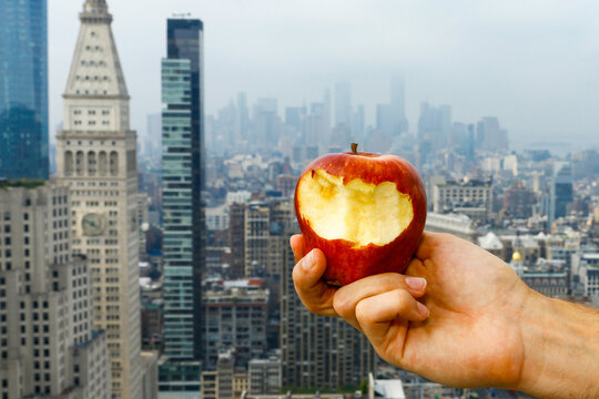 Bite the Big Apple Concept