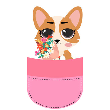 Cute corgi dog sitting inside a pink pocket illustration isolated on white background lovely puppy character print design for kids nursery t-shirts stickers and cards