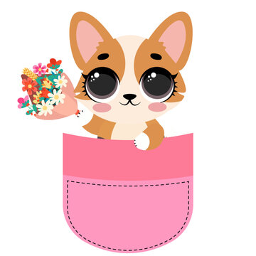 Cute corgi dog sitting inside a pink pocket illustration isolated on white background lovely puppy character print design for kids nursery t-shirts stickers and cards