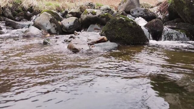 Low Angle Close Up of a Clear Rocky Stream Flowing Towards the Camera
